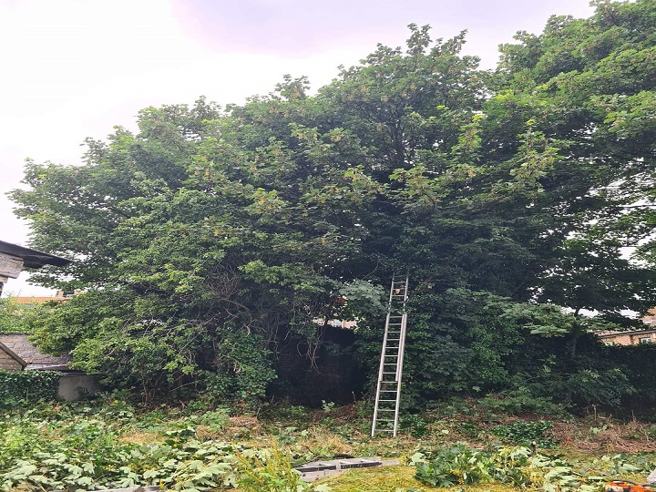 Luke kavanagh Landscaping