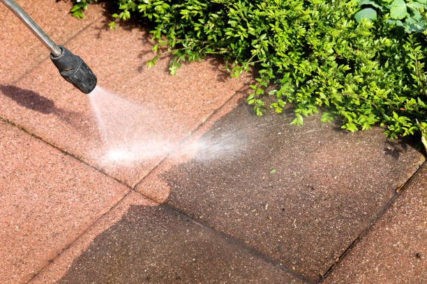 Searching for Power Washing Near Me?
