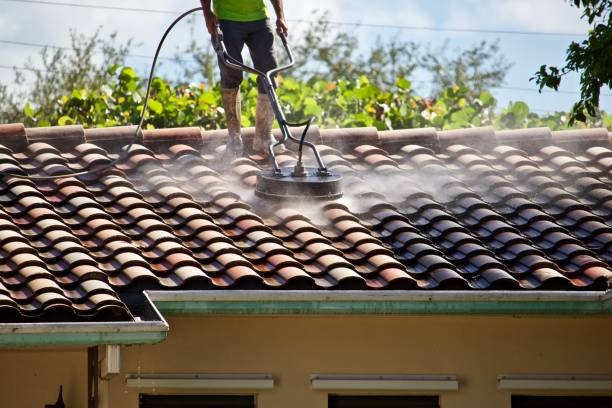 Roof cleaning2
