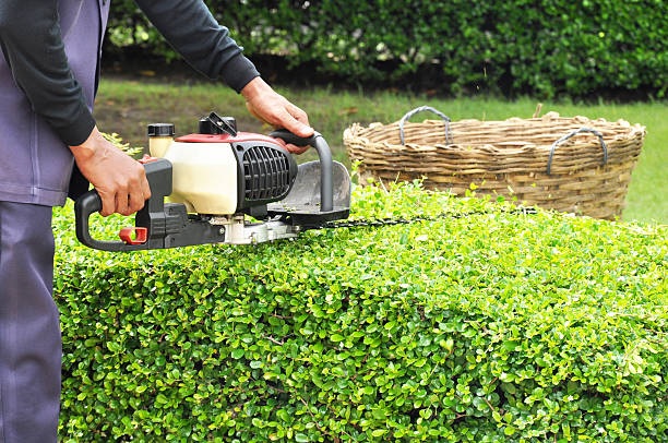 Hedge Trimming Dublin