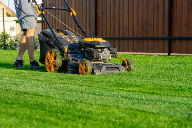Commercial Grass Cutting Dublin