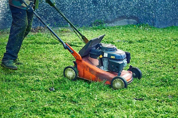 Professional Grass Cutting