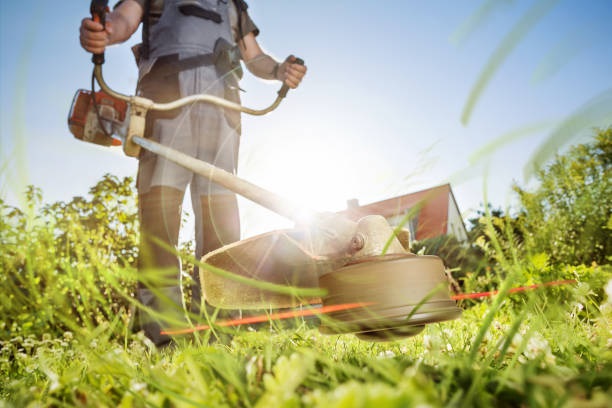 Residential Grass Cutting Dublin