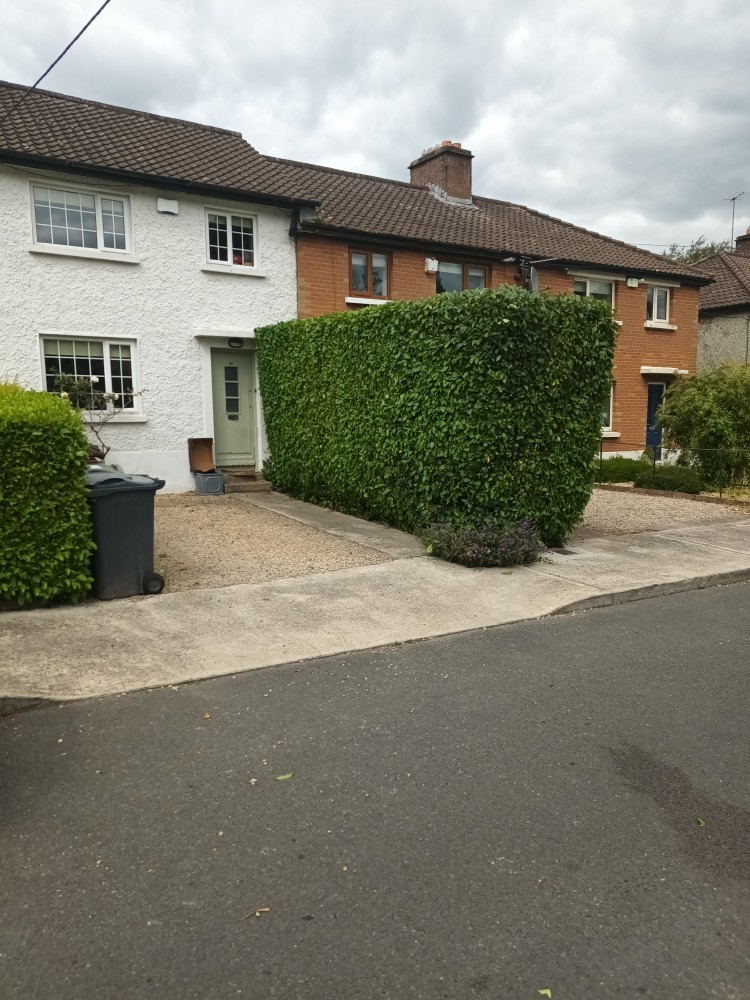 Hedge Trimming Dublin